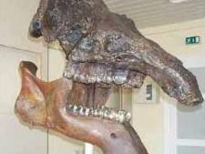 Leaderantrag "Museumserweiterung mit barrierefreiem Zugang" genehmigt