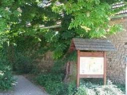 The Moat or Rim of Elms at the Alzey gate